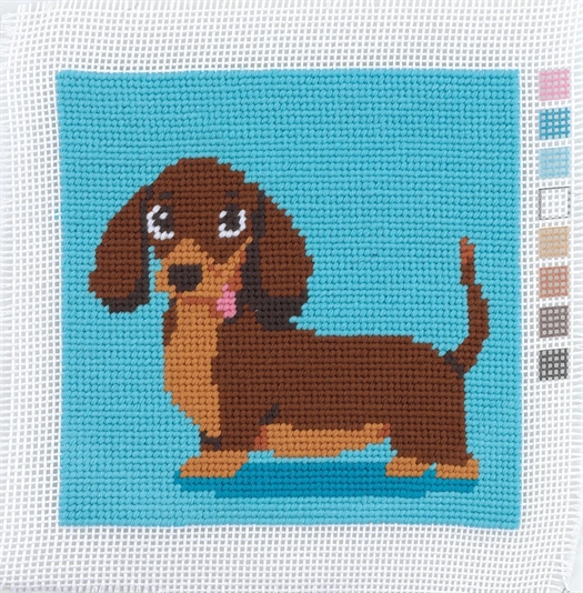 1ST KIT - PUP fra Anchor