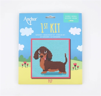 1ST KIT - PUP fra Anchor