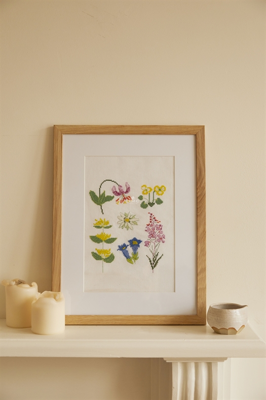 Image of The Meadow Flowers